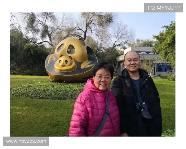 成都乒乓球队的阵地战策略与深度解析之旅