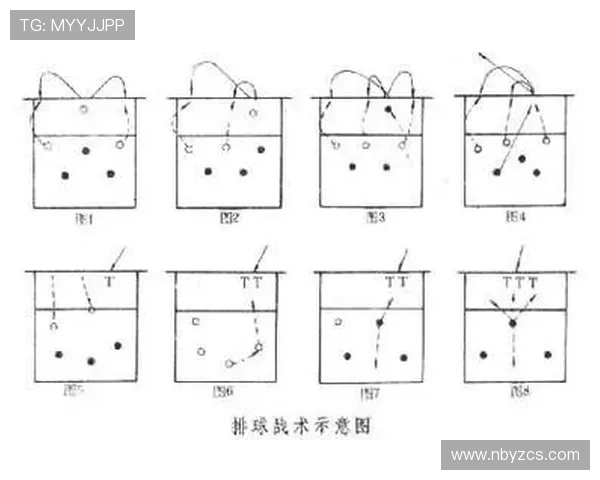 排球新手必看：全面解析战术技巧与实战应用指南