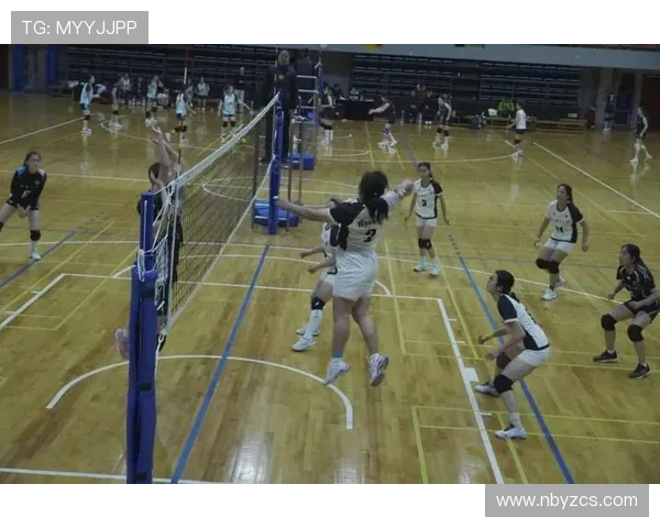 杭州排球队的力量变革引发热议展现团队精神与竞技魅力