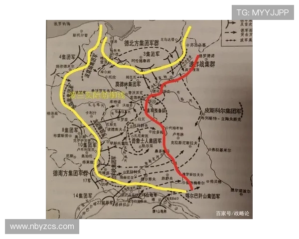 深入分析杭州排球队的进攻策略与战术特点