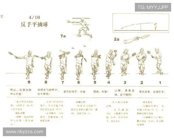 羽毛球焦点：深入分析成都羽毛球队的团队协作与战术配合